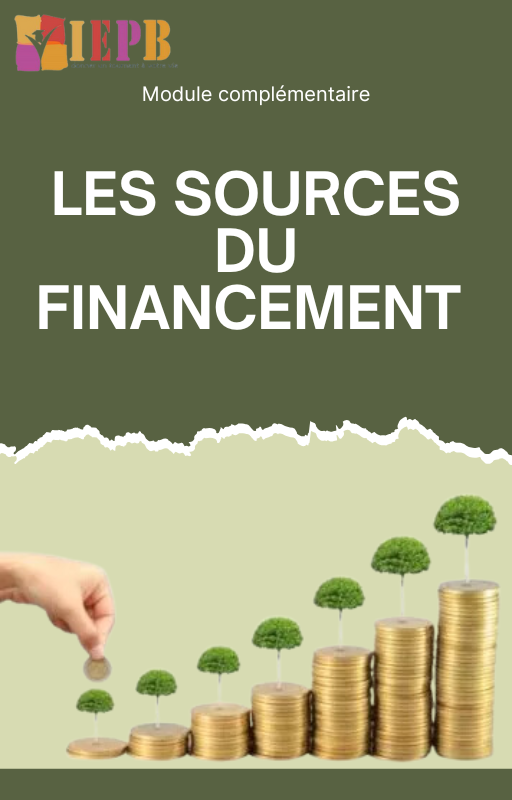 Module complémentaire : Les sources de financement-image